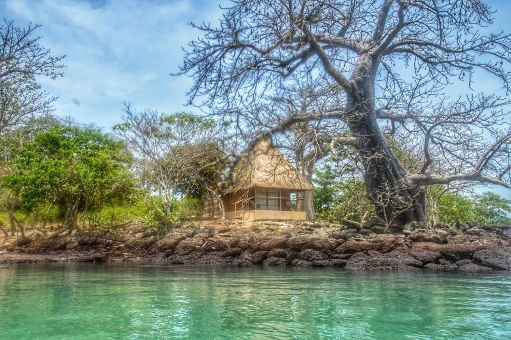 African Ecolodge Angurman Bruce Dış mekan fotoğraf